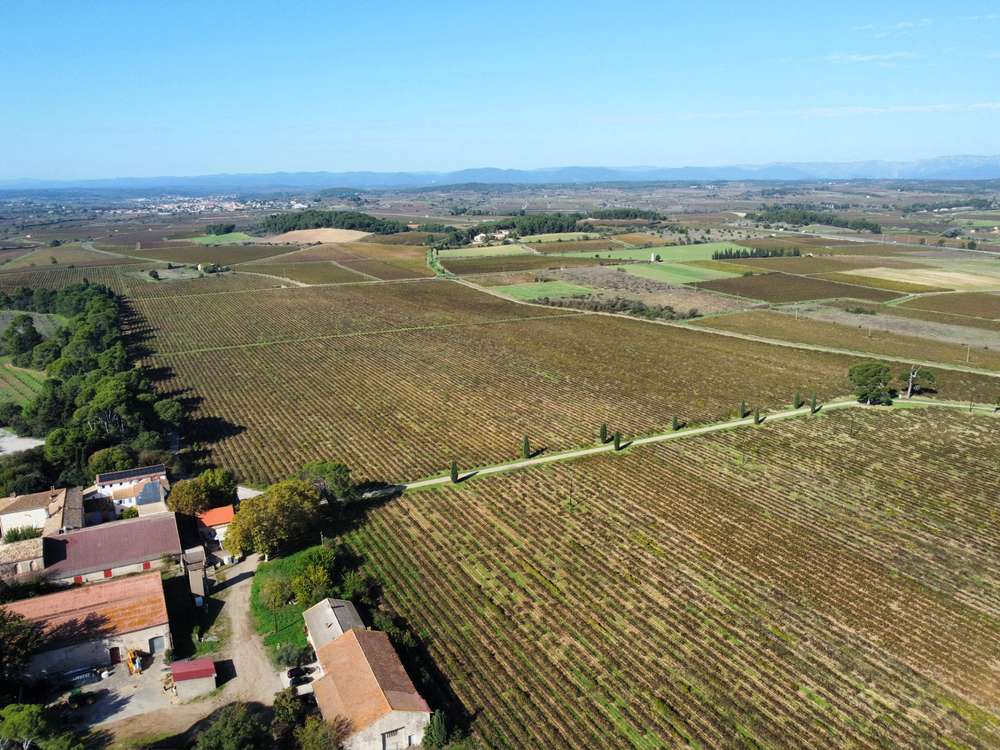 Dynamische Perspektive über das Anbaugebiet und Weingut der Pugibets